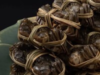 게상 코스 상하이 게의 모습 찜은 2월말에 변경됩니다.