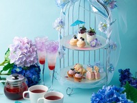 4/18~【アフタヌーンセット付きランチ】ひと口の幸せを感じる前菜盛り+5種から選べるメイン+季節のアフタヌーンセット付｜贅沢ランチ（ランチ＋アフタヌーン）