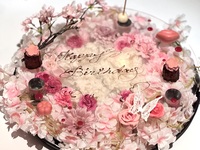 【ランチ】お花見プレート アニバーサリープラン