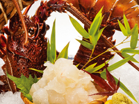 March and April: Luxury Lobster Boat Course with Fishing Included: 9,350 yen (tax included)