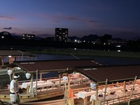 【椅子席】24人乗り観覧船の手配