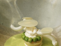 Accord mets et boissons sans alcool original d'avril (taxes incluses)