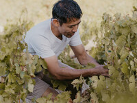 【Cage Wine】4/22.23限定 生産者来日ペアリングディナー