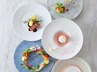 【3月お日にち限定20％OFF】トゥジュール　“Toujours”