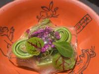 【add. option】Cold Appetizer  Hawk Pufferfish, Octopus and Wild vegetables