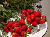 苺ビュッフェ4月26日