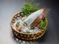 【「飛翔～ひしょう～」会席】（飲み放題付き)活き造り・和牛ステーキなど含む全10品