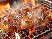 【オプション】地元を味わう！追加単品肉