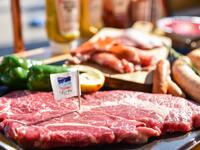 【平日・BBQパーティ】 おとな 8,500円（最大3h飲み放題付き）