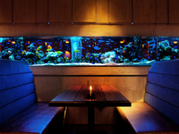 [Weekday Lunch Only] A seat-only reservation plan where you can enjoy a meal freely in a fantastic aquarium space