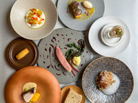 【6-Course Dinner】