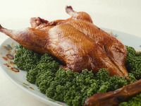 個室2時間利用★ 魅惑の新コース  精選10,000円