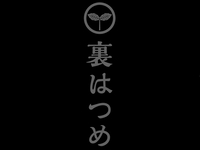 [Ura Hatsume Exclusive] Chef's Choice Course with All-You-Can-Drink (22 dishes)