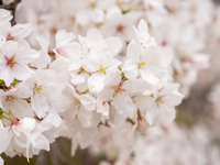 仅限座位（初中及以上学生）+ 90分钟无限畅饮