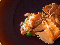 【平日限定】不時不食 ディナーコース 8品