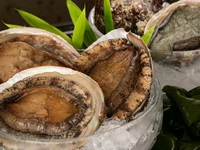 Abalone & Beefsteak Lunch Course 【Ukai Selected Beef Sirloin】