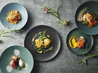 【4/25~5/6】ディナーコース (全5品)