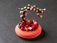 The Sakura Tree