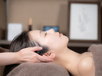 Dry Head Massage 30 minutes (for visitor )