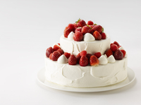 【グランビレッジ会員様】　デコレーションケーキ　「グランドストロベリー」（2段）　【カード決済用】