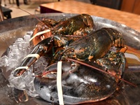 【3月乾杯シャンパーニュ付】碧  ～うみ～