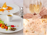 桜の季節限定❀～4品で愉しむランチコース～