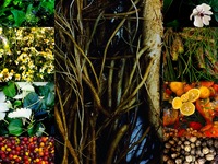 【オプション】ノンアルコールペアリング