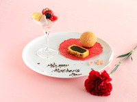 【オプション】母の日限定　カーネーションとプレート付き