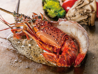 飲み放題2時間付き！【ロブスターコース】ロブスターの鉄板焼や国産サーロインステーキ含む全9品