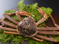 【春/夏課程】螃蟹季節課程