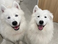 4/1～≪土日祝≫通常チケット（50分）