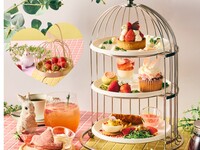 [Three Varieties of Strawberries to Compare] Nostalgic Strawberry Afternoon Tea ~Easter Tea Time~