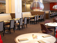 【4월~・평일】 선택할 수 있는 디너! 다이너 세트 2026(2시간제)