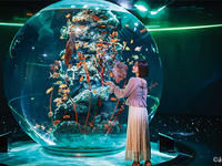 ▼átoa（アトア）入場券付プラン