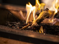 【6～８】FIRE LUNCH BUFFET