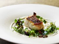 [Early reservation exclusive: 15% off] Lunch Menu "Platino" Limited-Time Offer: Oct 1 to Oct 31,  Weekdays Only