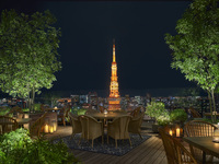 【Tower view guaranteed】Kyushu 7-course dinner with a glass of champagne