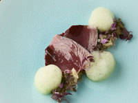 【休日限定】～シャルール～ ＋ペアリング　メインは三河豚 　5品＋食後のお飲み物   