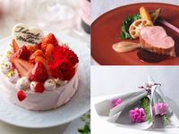 【母の日ランチ】感謝を伝える特製ケーキとカーネーション1輪付　乾杯酒+カジュアル4品ランチコース（土日祝）