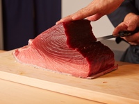 [Lunch] Recommended for international visitors! An affordable course that includes delicious sushi and exquisite tuna scraps, plus a souvenir!