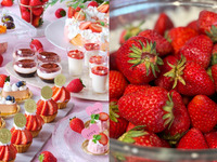 祝25周年🍓今が旬のいちごが食べ放題！🍓お好きなスイーツが8種選べる！デザートワゴン付き◇サラダ・パスタ・メインのカジュアルランチ≪平日限定≫