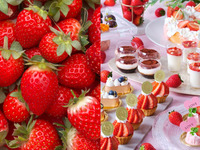 🍓旬の苺を心ゆくまで堪能🍓【苺食べ放題付き】平日限定・スイーツ8種を選べるデザートワゴンと季節のハーフコースランチ-SEASON-