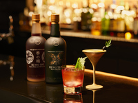 【Eau de Vie de Aperitivo】飲み放題 + スペシャル前菜プレート