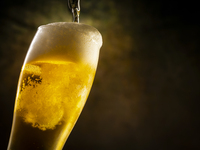 ビアガーデン2026（大人）