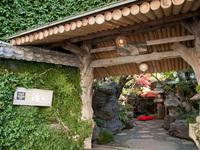 《Website Exclusive Lowest Price Guarantee Course》 Seasonal Kaiseki Course 35