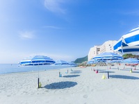 【7/12～8/31限定】ビーチリゾートを満喫！日帰り海水浴＆グルメディナープラン（小学生）