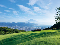 アーリーサマーランチブッフェ 