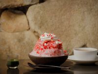 森のかき氷  【選べる紅茶 または コーヒー付き】