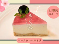 Sakura Cheesecake