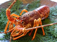 Snow room aged Wagyu beef, spiny lobster and abalone banquet 35,200 yen